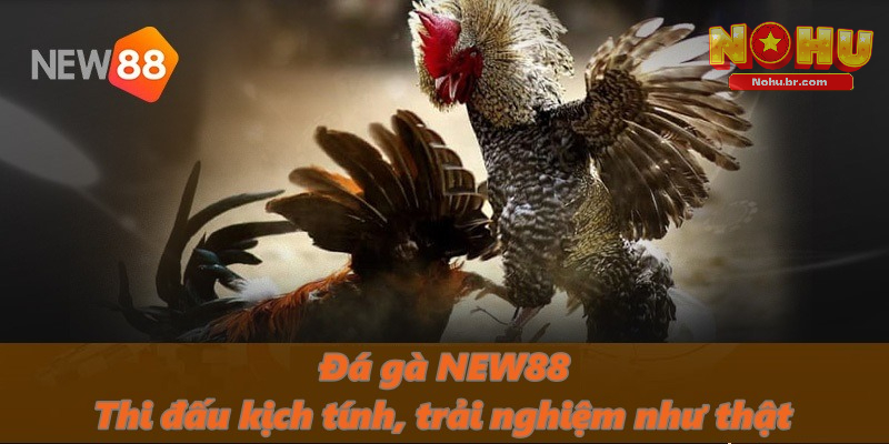 NEW88 - Trang Cá Cược Uy Tín, An Toàn Nhất Tại Châu Á