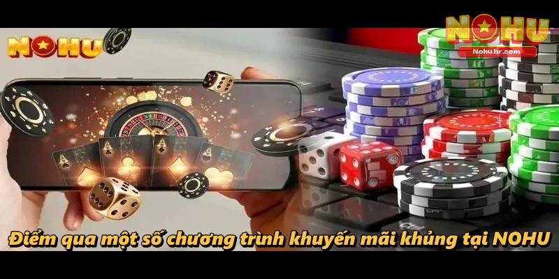 Về Chúng Tôi NOHU – Những Thông Tin Chuẩn Xác Về Website