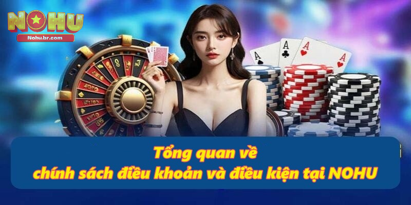 Điều Khoản Và Điều Kiện - Cập Nhật Chính Sách Mới Tại NOHU
