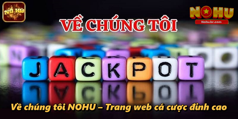 Về Chúng Tôi NOHU – Những Thông Tin Chuẩn Xác Về Website