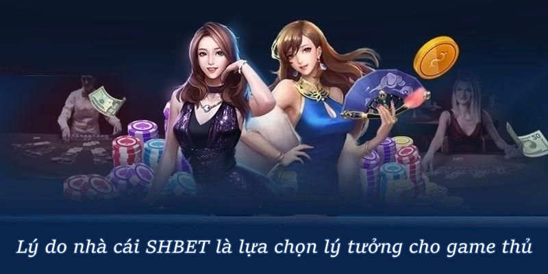 SHBET – Trang Chủ Cá Cược Chuyên Nghiệp Nhất Năm 2026