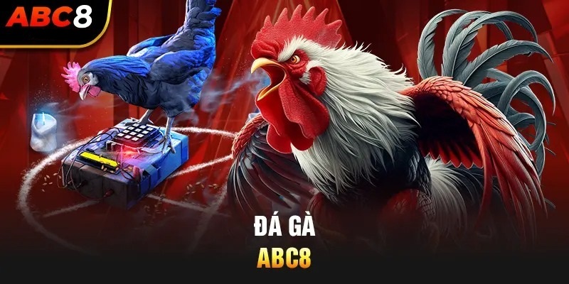 ABC8 – Nhà Cái Uy Tín Bậc Nhất Tại Sân Chơi Châu Á Năm 2026