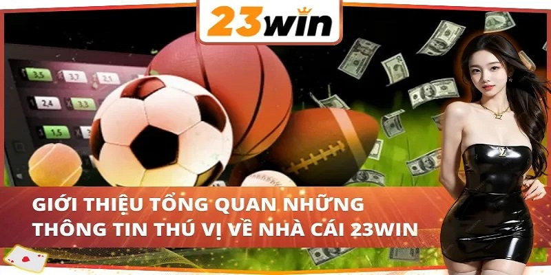 23WIN – Điểm Đến Cá Cược Hàng Đầu Cho Người Chơi Online